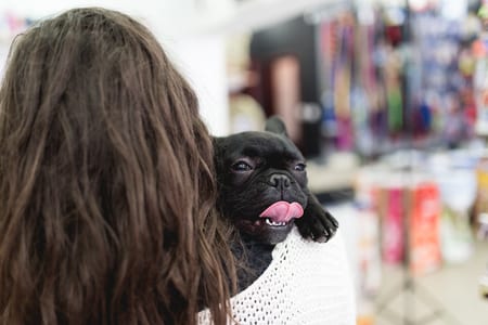woman with her french bulldog puppy in pet shop