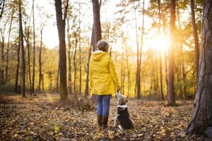Fall Safety Tips for Your Dog