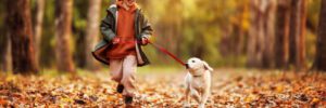 young boy running with puppy in dog park