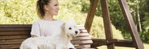 woman sitting on swing with coton de tulear puppy